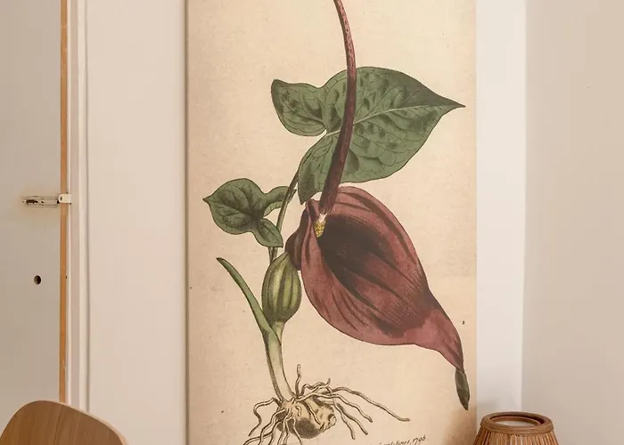 Calcada Do 50 4º * Lisboa